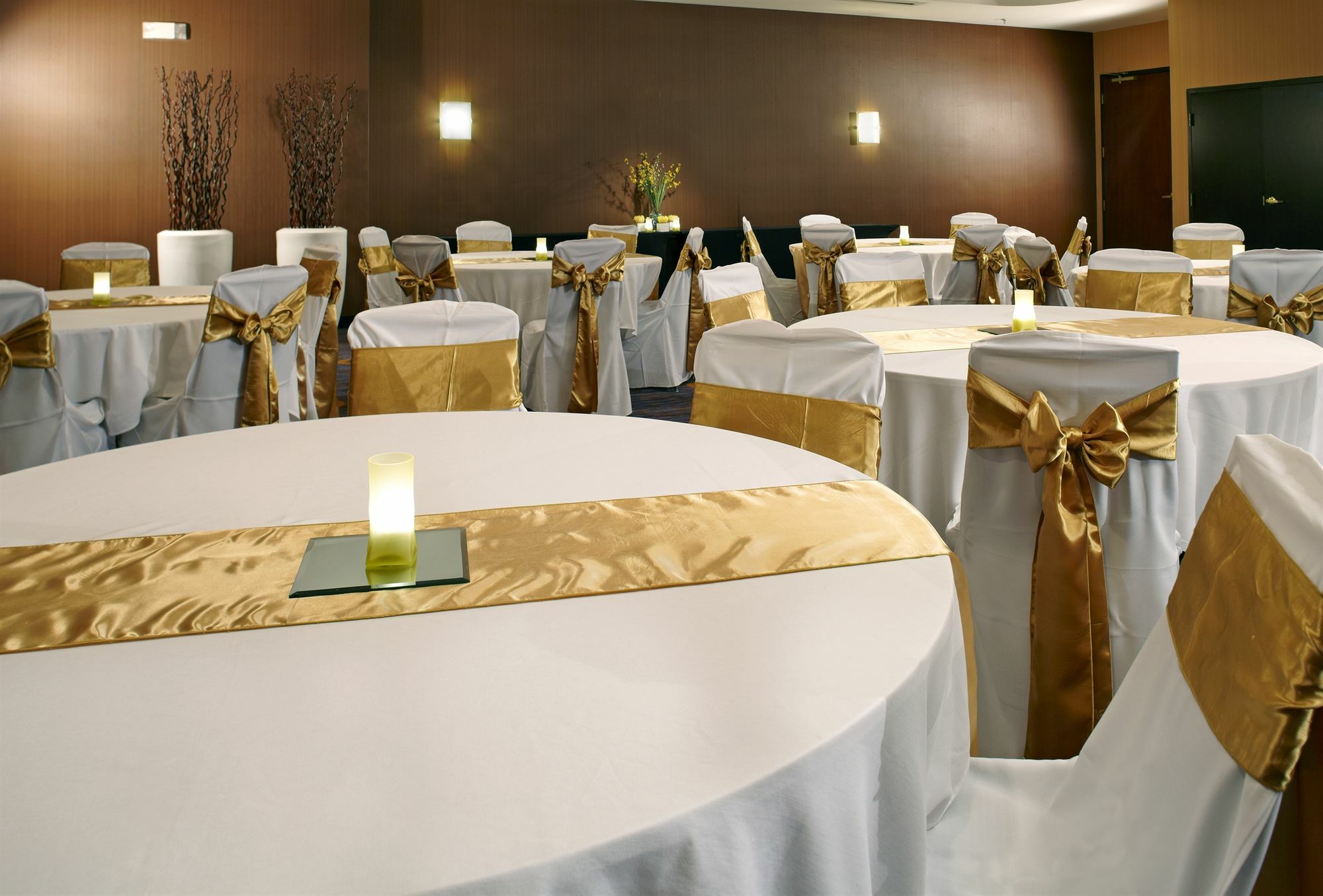 Courtyard Tampa Oldsmar Hotel Exterior photo