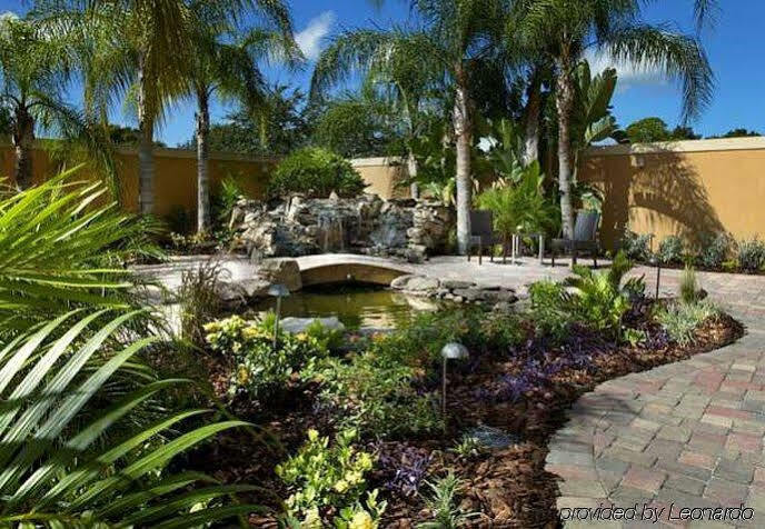 Courtyard Tampa Oldsmar Hotel Exterior photo